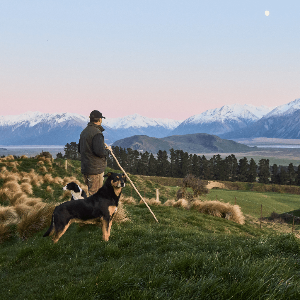 Conscious: the mindset of caring - Hemprino